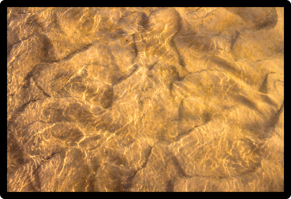 Sandy bottom of the Sugar River in northern Illinois.
