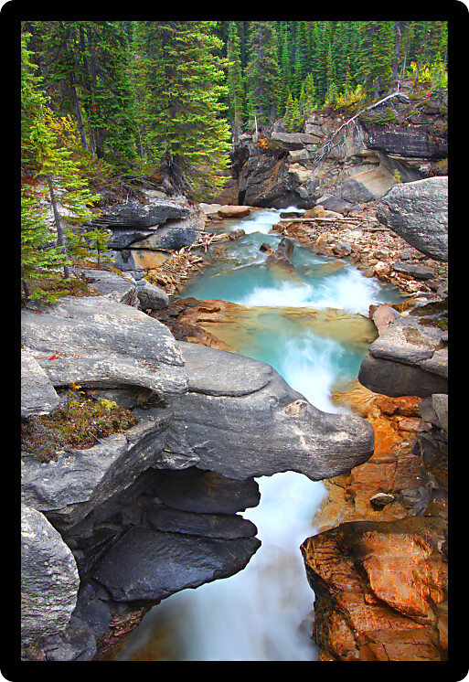 Twin Falls Creek flows through a narrow gorge in Yoho National Park of Canada.