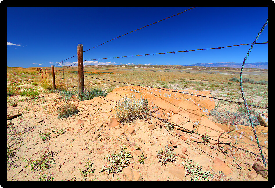 Barbed wire fence divides the vast open spaces of Wyoming.