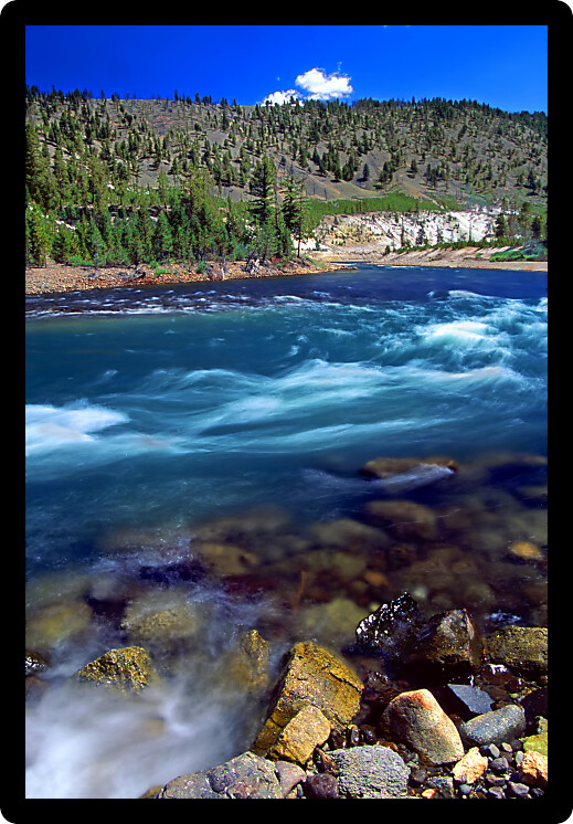 Yellowstone River rapids near Tower Falls in Yellowstone National Park of Wyoming.
