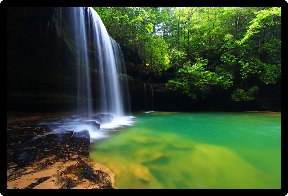 Upper Caney Creek Falls in the William B Bankhead National Forest of Alabama.