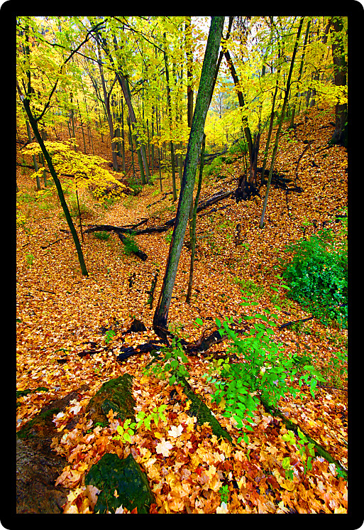 Beautiful autumn landscape at Rock Cut State Park in northern Illinois.
