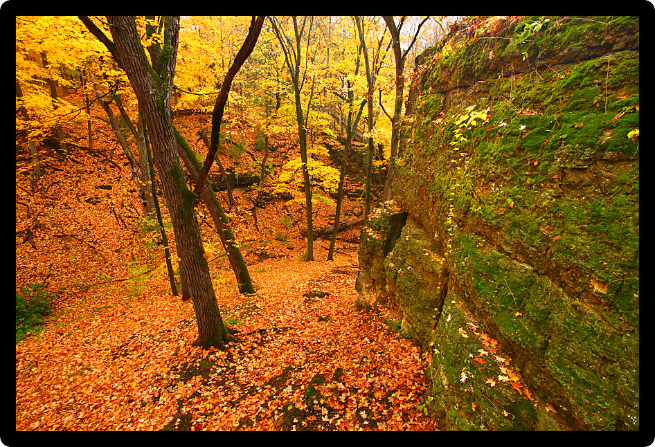 Beautiful autumn landscape at Rock Cut State Park in northern Illinois.