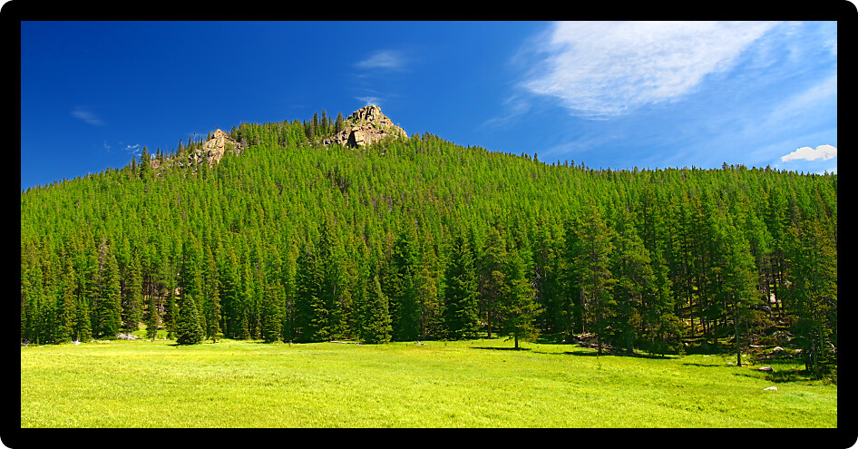 Panoramic landscape of the Bighorn National Forest in Wyoming.