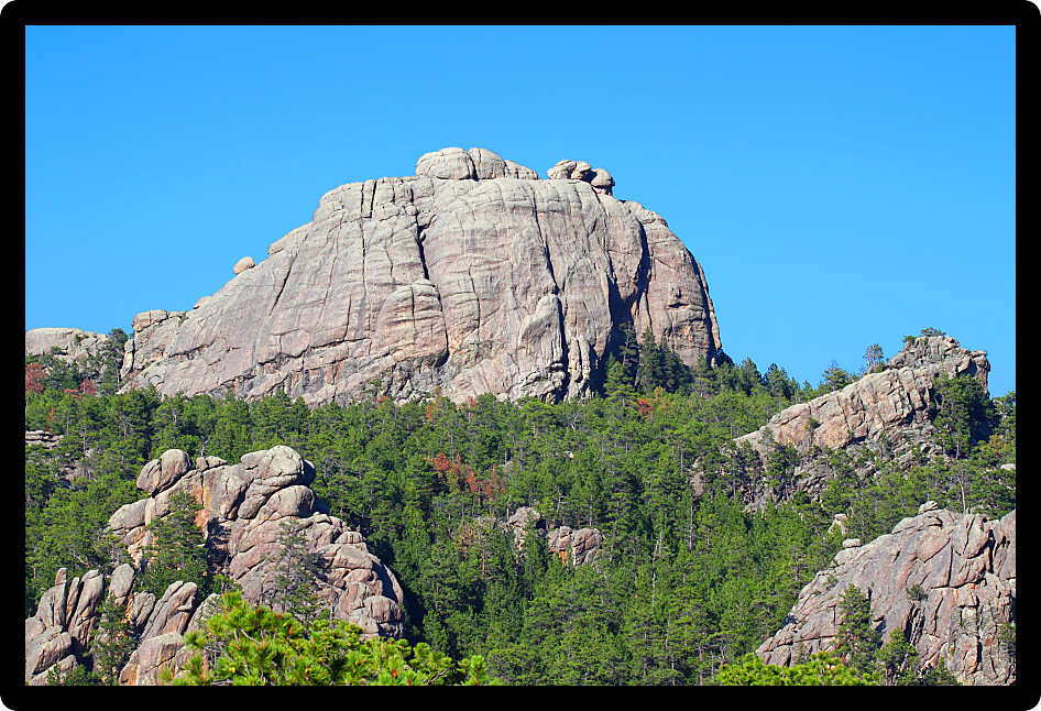 Rock formations scatter the pine forests of Black Hills National Forest in South Dakota.
