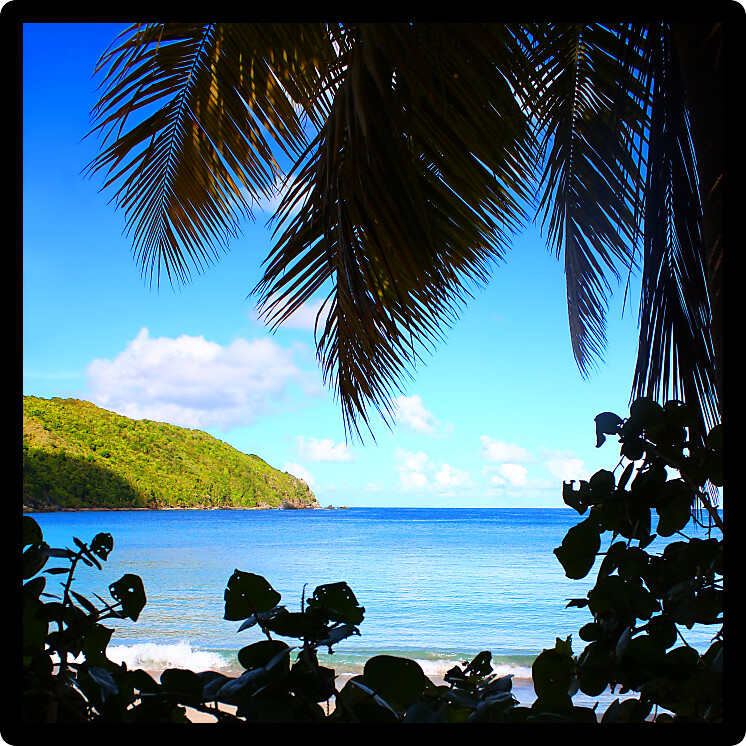 Beach of Brewers Bay seen through silhouetted tropical vegetation on Tortola British Virgin Islands.