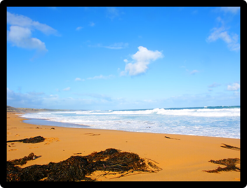 Beautiful sandy beach along the Great Ocean Road of southern Australia.