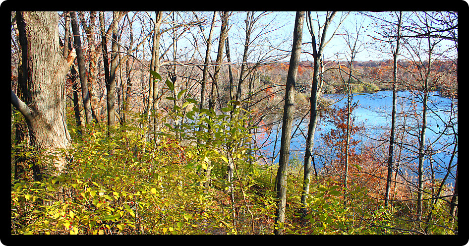 Kickapoo State Park is located in Vermilion County Illinois and features numerous hiking paths and lakes.