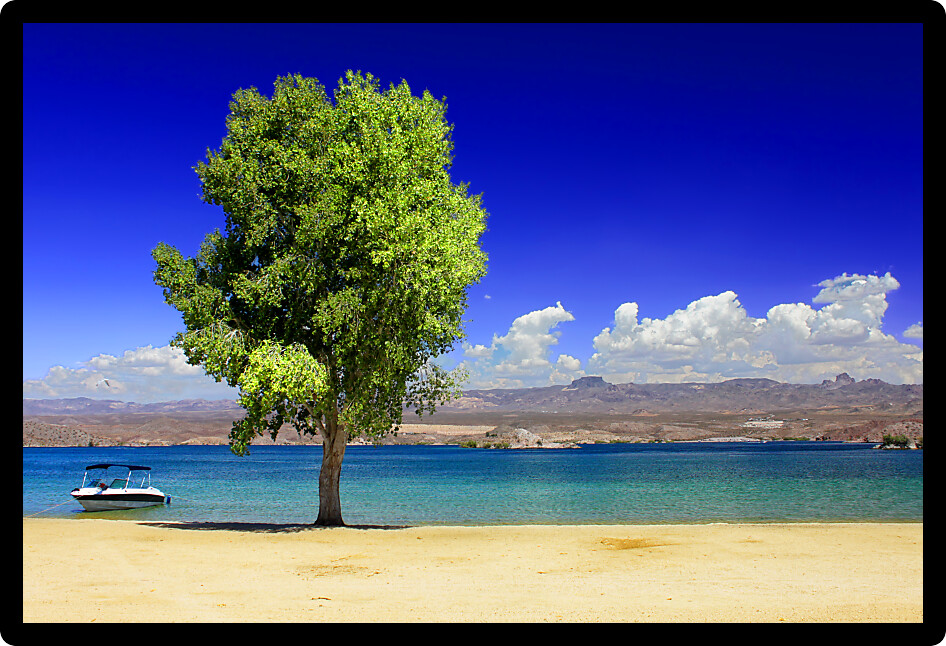 Lake Mohave beach on the Colorado River in the desert of the southwestern United States.