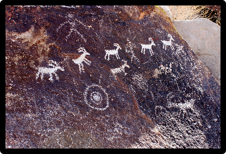 Series of goat petroglyphs on a rock wall at Grapevine Canyon Nevada.