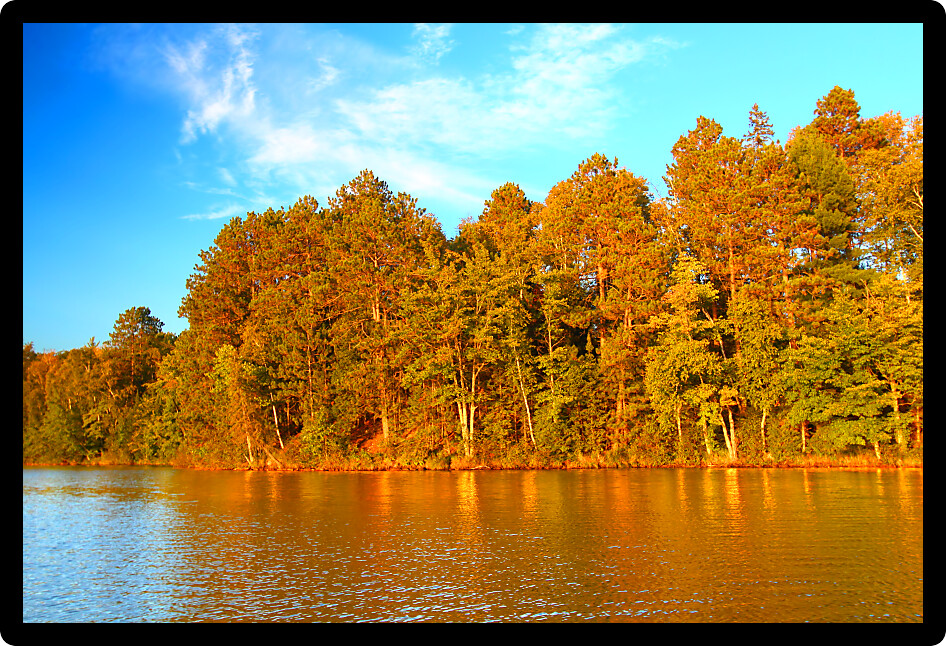 Beautiful foliage along the shoreline of Sweeney Lake in northwoods Wisconsin.