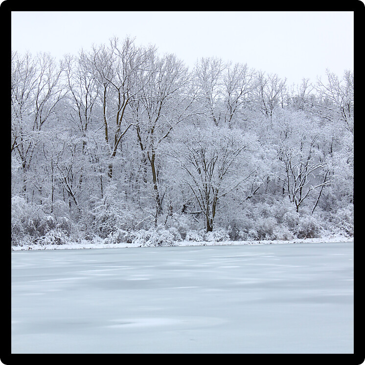 Fresh snowfall over a lake in northern Illinois on a cold winter day.