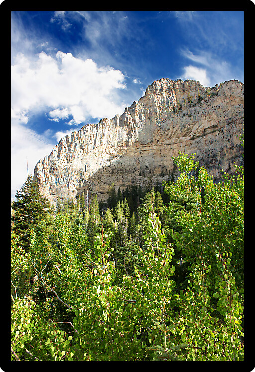 View of Echo Cliffs at Spring Mountains National Recreation Area of Nevada.