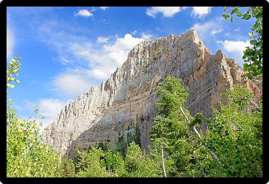 View of Echo Cliffs at Spring Mountains National Recreation Area of Nevada.