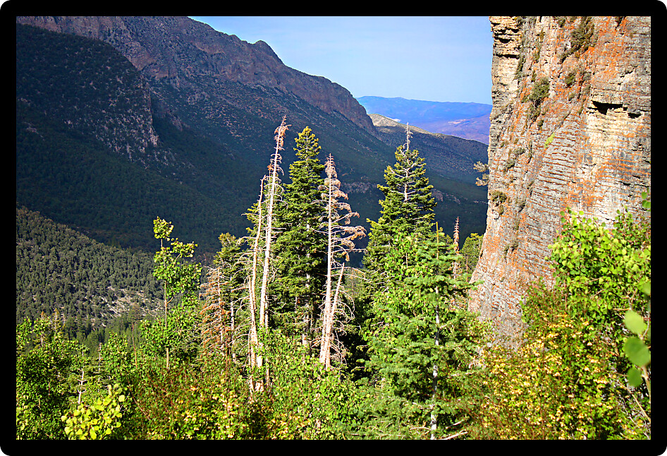 Echo Cliffs showcase a sheer vertical drop at Spring Mountains National Recreation Area of Nevada.