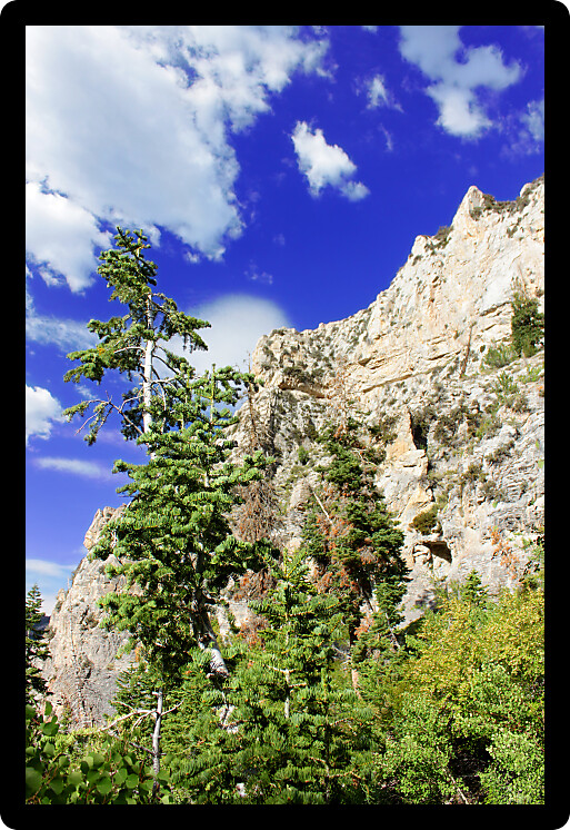 Echo Cliffs showcase a sheer vertical drop at Spring Mountains National Recreation Area of Nevada.