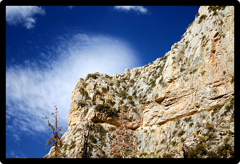 Echo Cliffs showcase a sheer vertical drop at Spring Mountains National Recreation Area of Nevada.