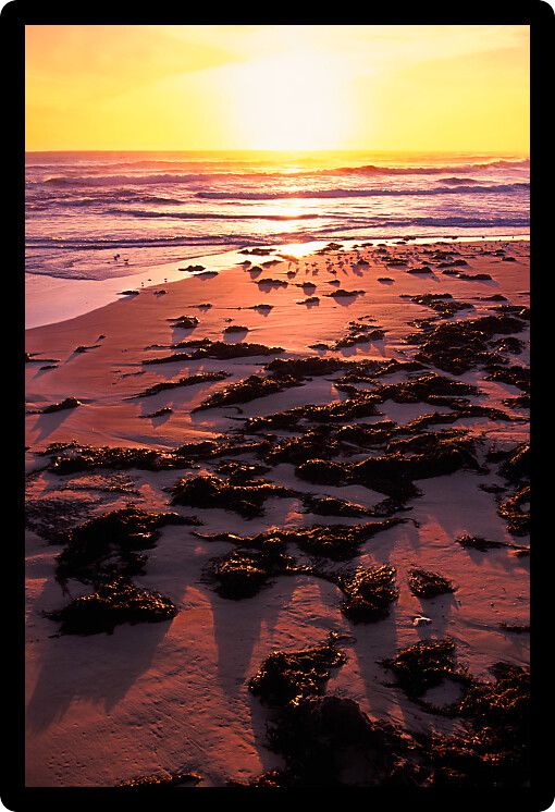 Ocean waves under a beautiful sunlit sky off the southern coast of Victoria in Australia.