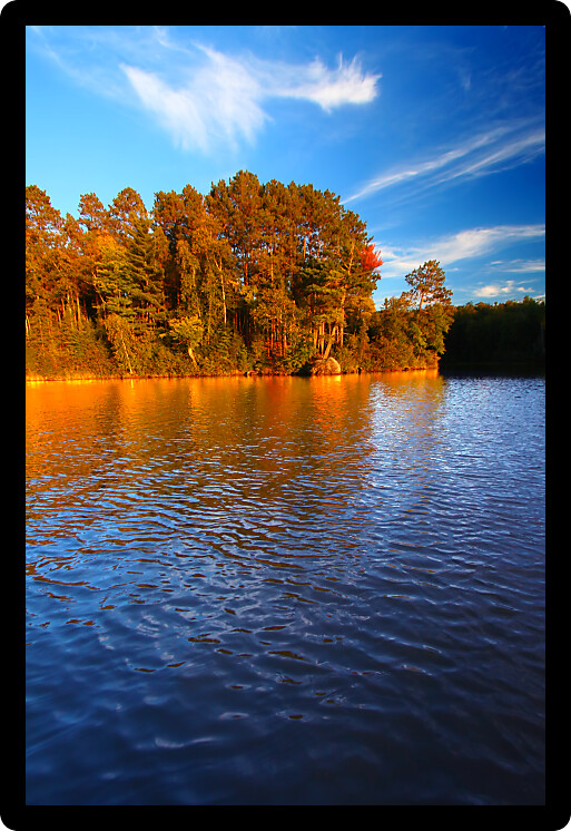 Beautiful foliage along the shoreline of Sweeney Lake in northwoods Wisconsin.