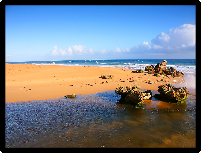 Pacific Coastline scenery in southern Victoria Australia.