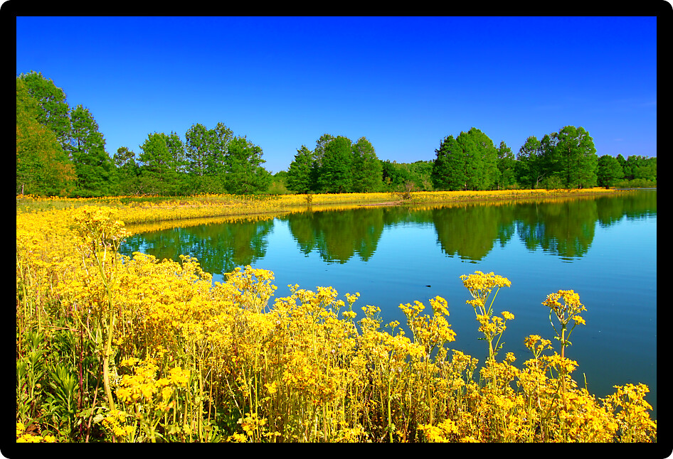 Peppenhorst Branch of Carlyle Lake at Eldon Hazlet State Park in Illinois.