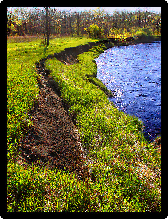 River bank erosion often occurs along meander bends such as this one at Lib Conservation Area in northern Illinois.