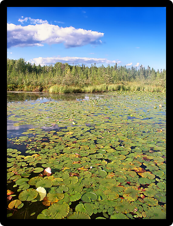 Little Bearskin Lake is a popular fishing spot in northwoods Wisconsin.