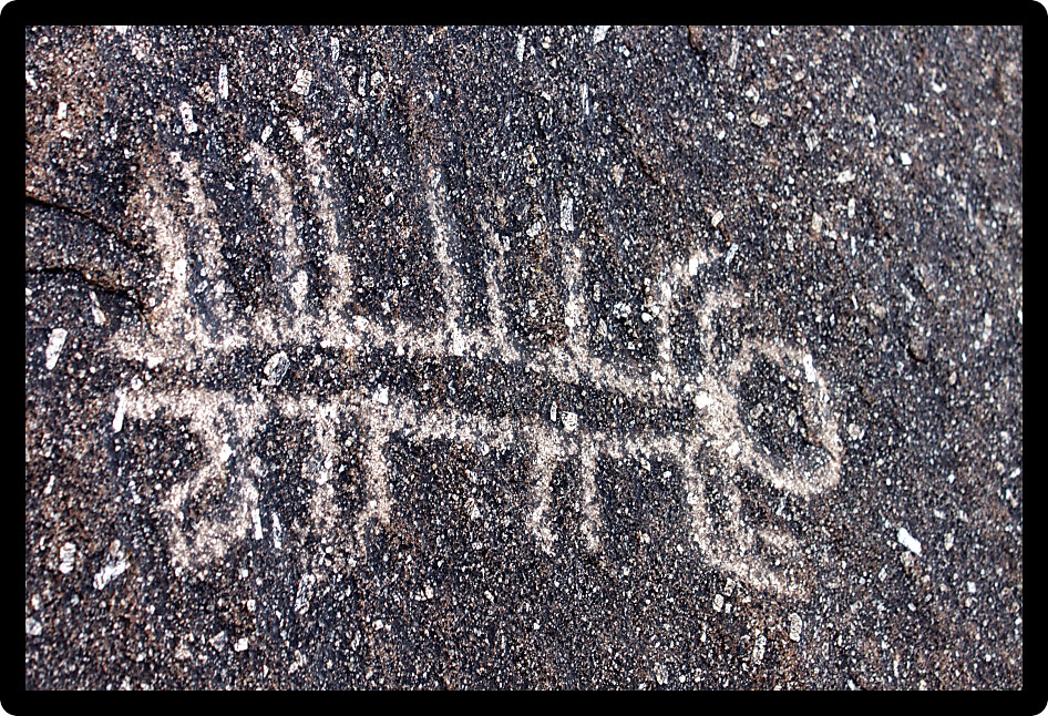 Strange petroglyphs adorn the rock walls of Grapevine Canyon in Nevada.