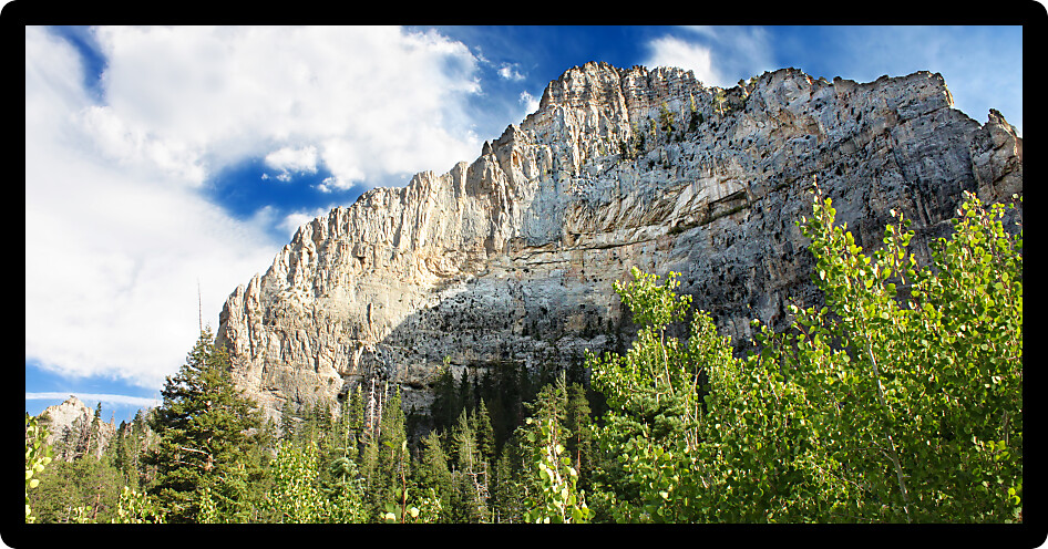 Echo Cliff is located in Spring Mountains National Recreation Area of Nevada.