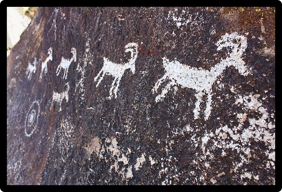 Series of goat petroglyphs on a rock wall at Grapevine Canyon Nevada.