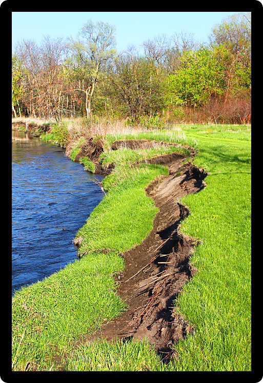 River bank erosion often occurs along meander bends such as this one at Lib Conservation Area in northern Illinois.