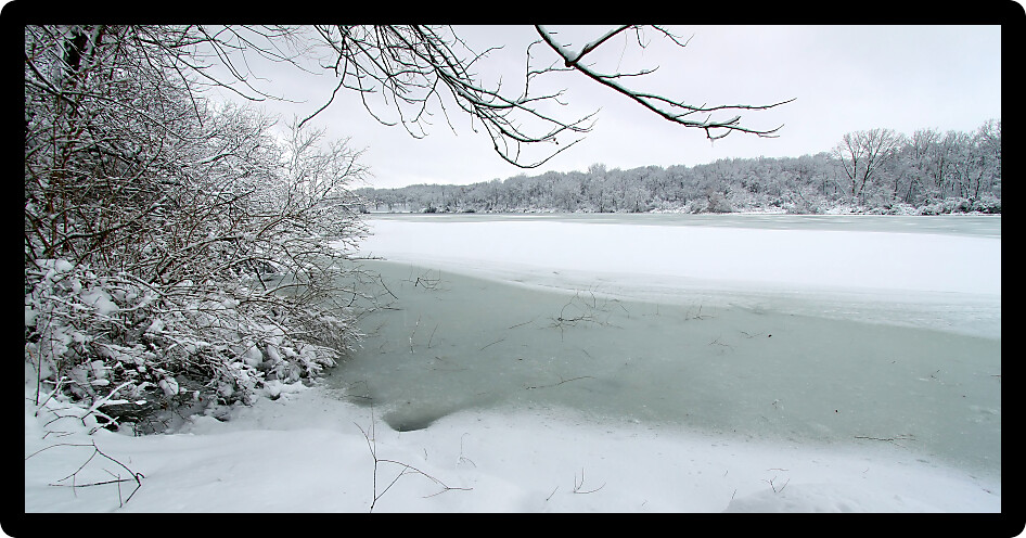 Shoreline of Pierce Lake on a snowy winter day at Rock Cut State Park in Illinois.