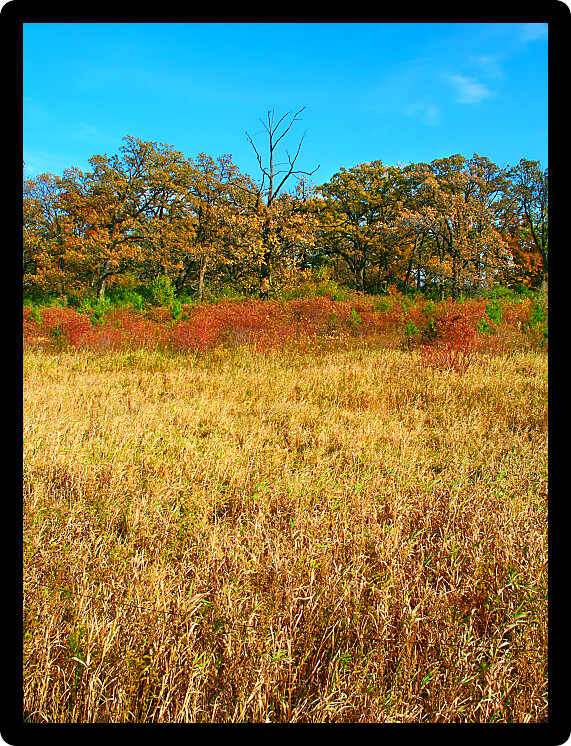 Rural southern Wisconsin scenery under autumn sunlight.