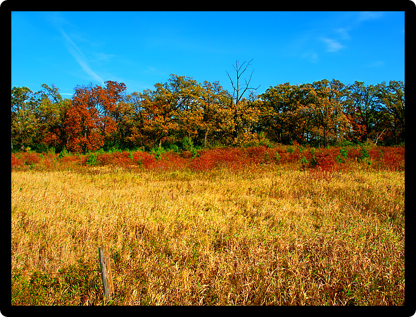 Rural southern Wisconsin scenery under autumn sunlight.