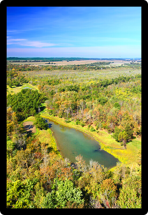 Wetlands and forest seen from Inspiration Point of the Shawnee National Forest in southern Illinois.