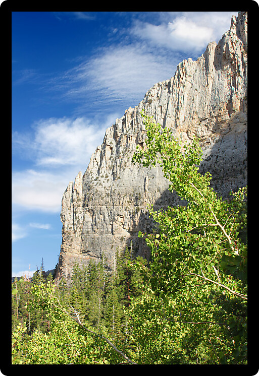 Echo Cliff is located in Spring Mountains National Recreation Area of Nevada.