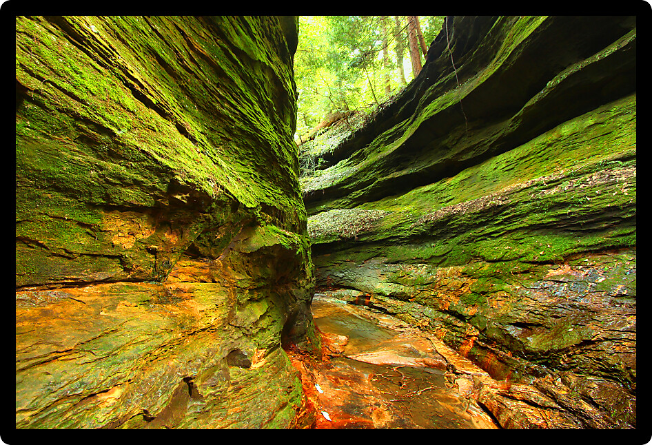 Narrow moss covered gorge at Turkey Run State Park in Indiana.