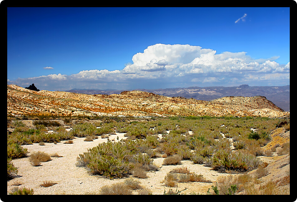Wide open spaces of the Nevada desert in the southwestern United States.