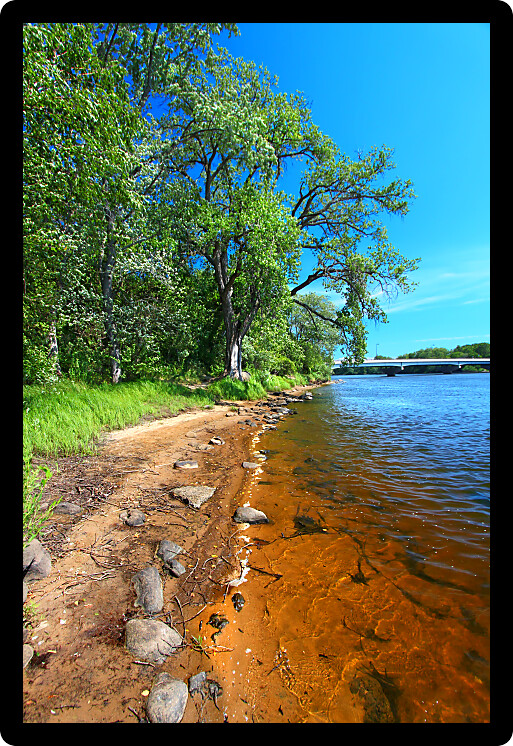 Sandy shoreline of the Wisconsin River near the town of Portage.