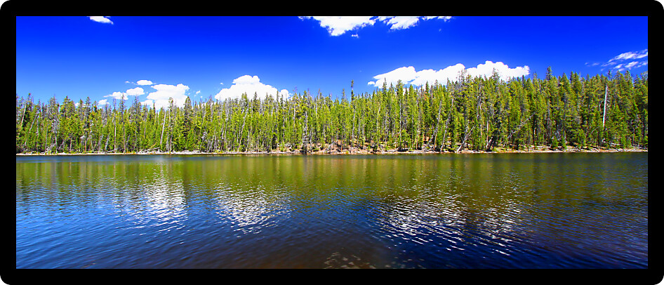 Summer panoramic view of the Scaup Lake shoreline at Yellowstone National Park.