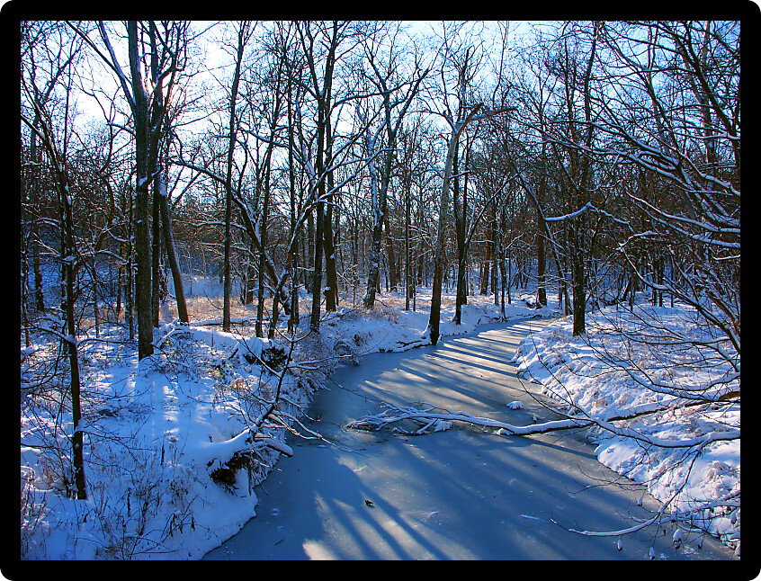 Shadows cast over a frozen creek at Allerton Park in central Illinois.