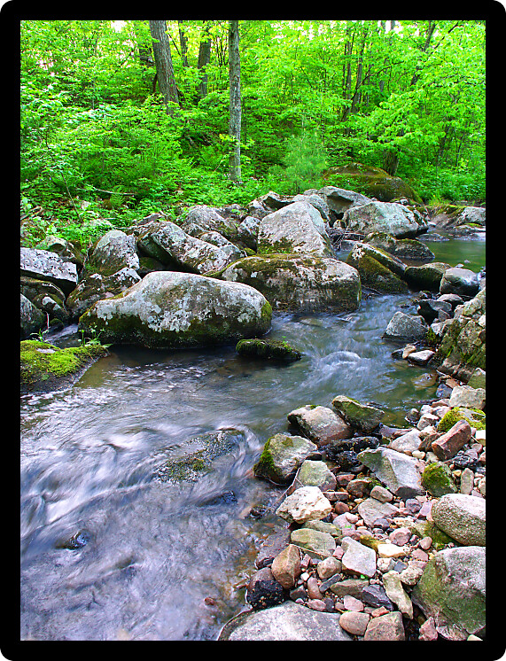 Baxters Hollow State Natural Area is a beautiful forested nature preserve in southern Wisconsin.