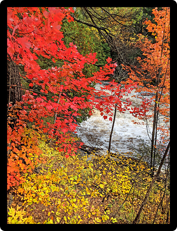Falls River seen through beautiful autumn colors near L