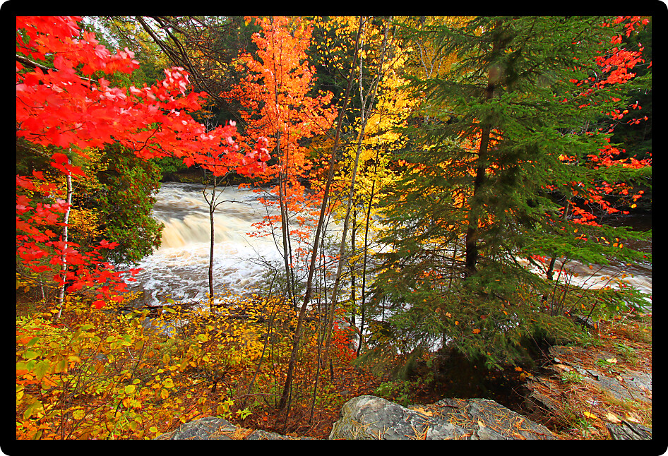 Falls River seen through beautiful autumn colors near L