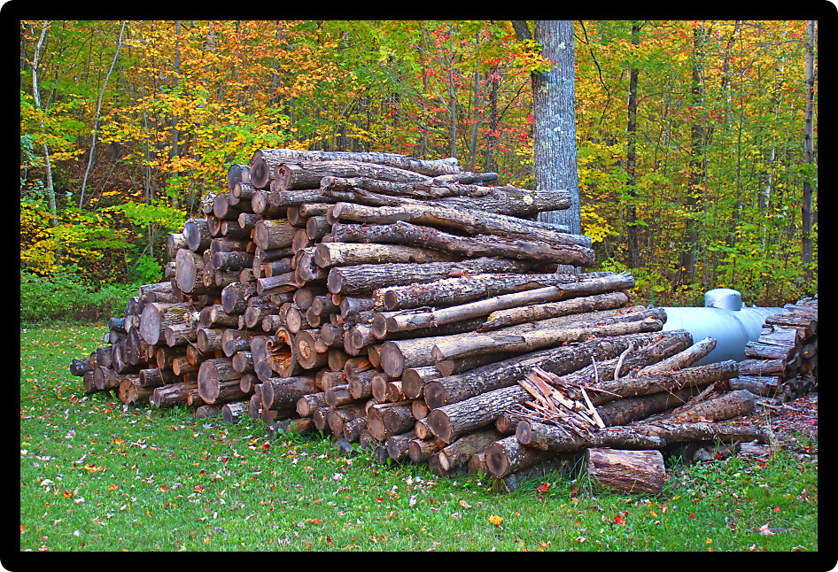 Large pile of firewood stacked in the upper peninsual of Michigan.