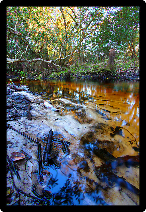 Sandy creek flowing through the landscape of central Florida.