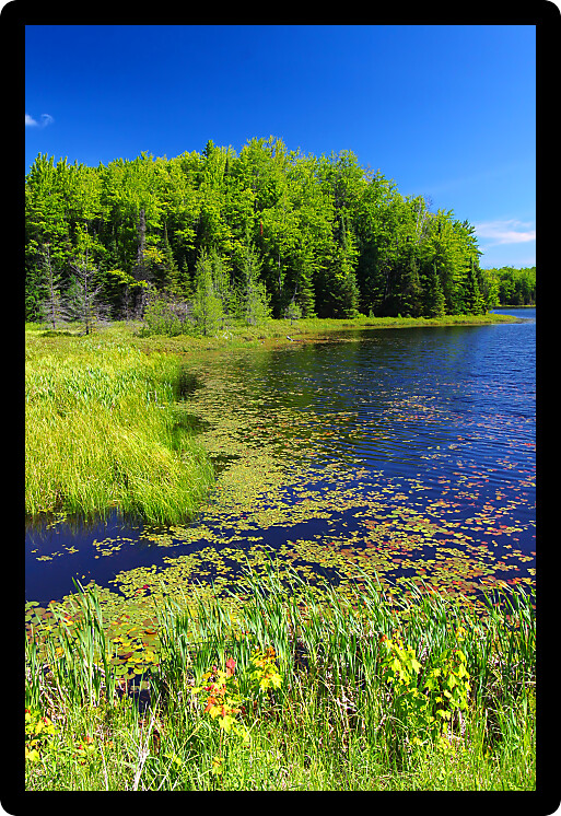 Mabel Lake in the Northern Highland American Legion State Forest of Wisconsin.