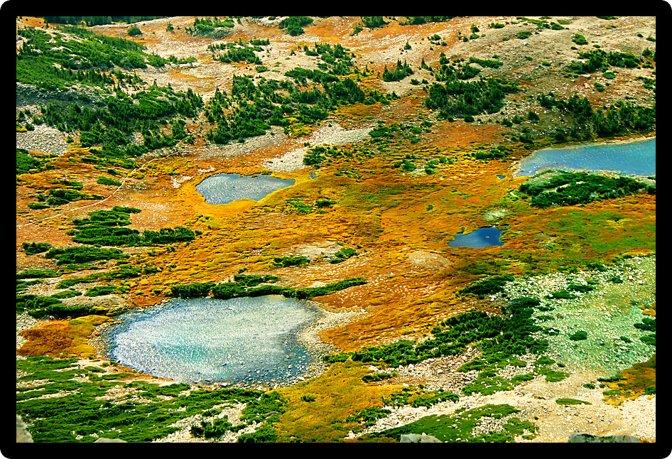 Small lakes dot the landscape of Medicine Bow National Forest in Wyoming.