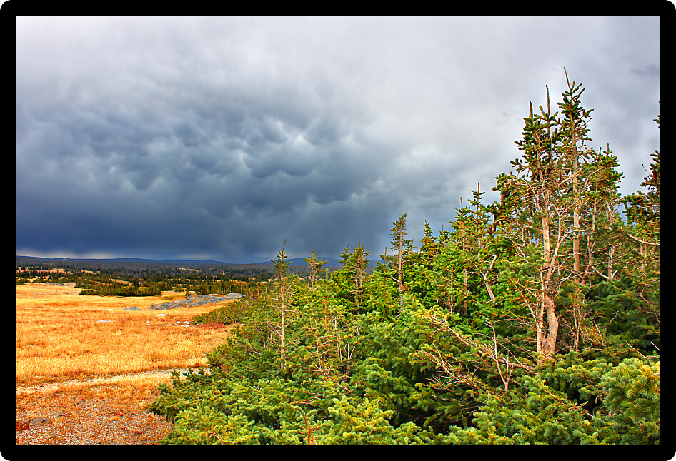 Libby Flats near Snowy Range Pass in the Medicine Bow National Forest of Wyoming.
