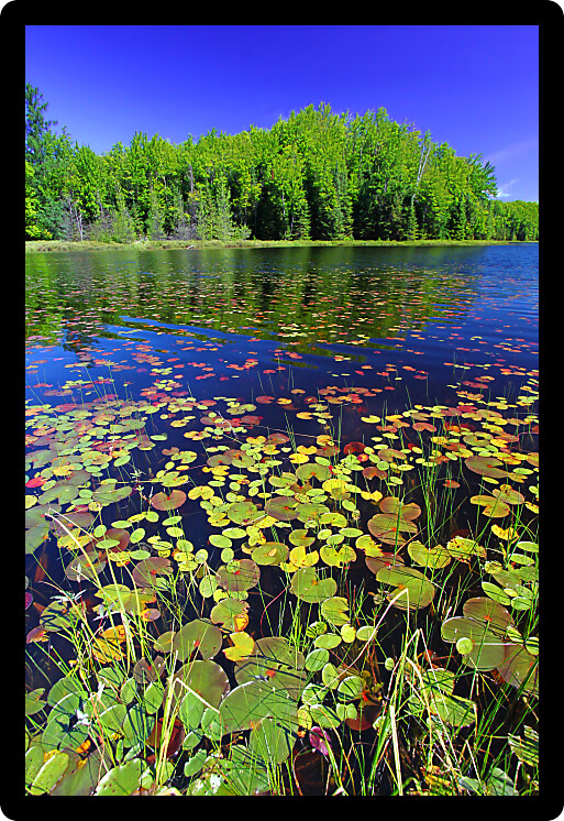Mabel Lake in the Northern Highland American Legion State Forest of Wisconsin.